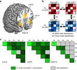 Cross-modal representations of first-hand and vicarious pain, disgust and fairness in insular and cingulate cortex