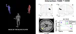 Effects of shifting perspective of the self: An fMRI study